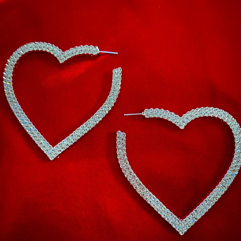 Gorgeous earrings